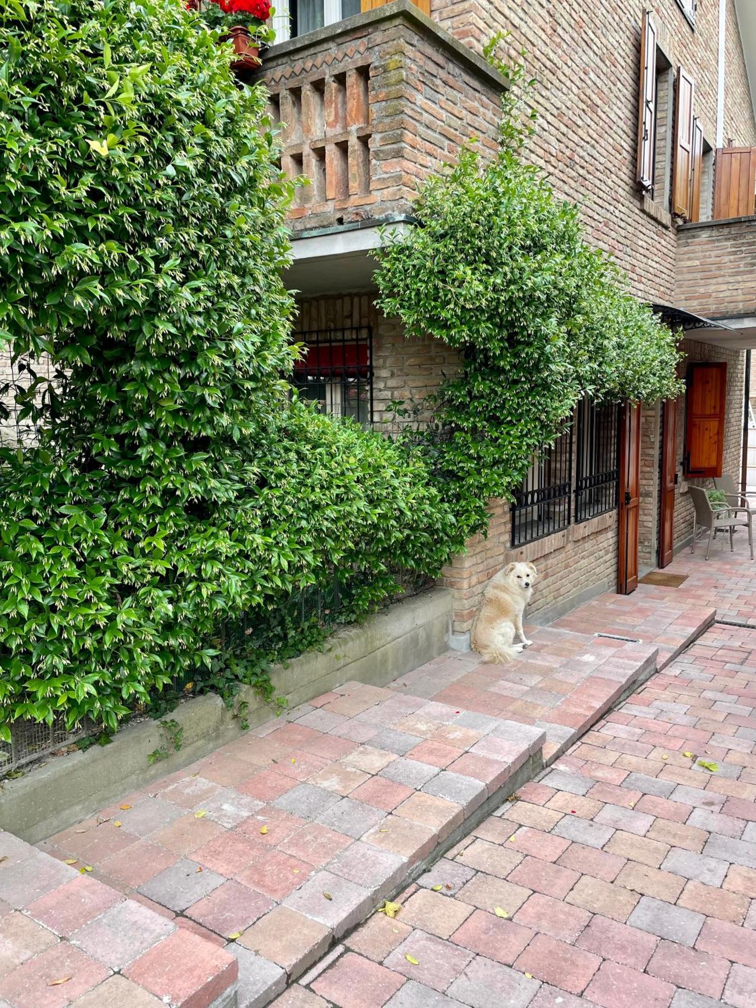 Casa Matilde Piano Terra 100Mq Con Parking E Piscina Apartment Ferrara Exterior photo